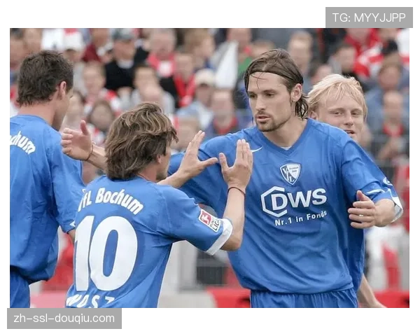 数据前瞻：沃尔夫斯堡vs波鸿，历史交锋主队占绝对优势